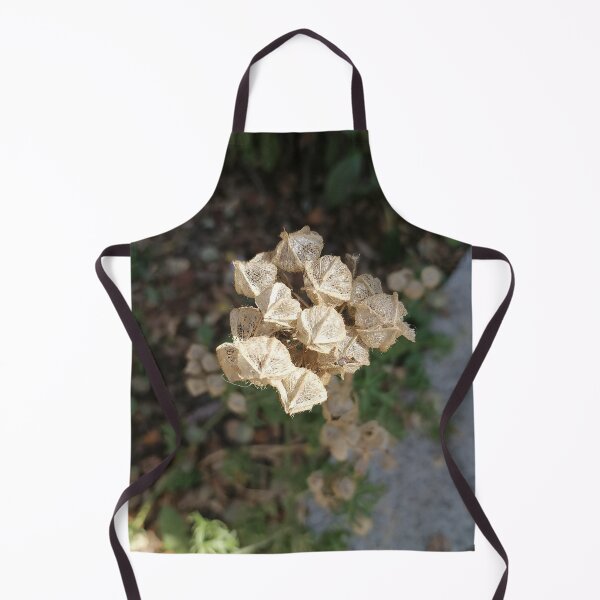 Item preview, Dried White Flower Texture designed and sold by PhuongVoArt.