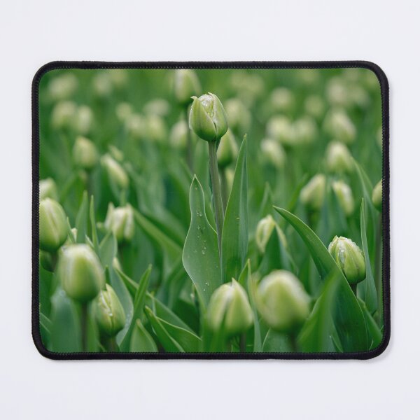 Item preview, green tulip field designed and sold by Mutezone.
