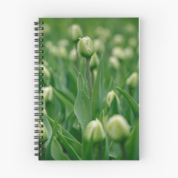 Item preview, green tulip field designed and sold by Mutezone.