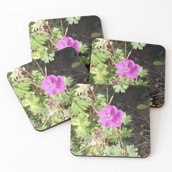 Artikelvorschau, Pink Wildflower Close Up entworfen und verkauft von PhuongVoArt.