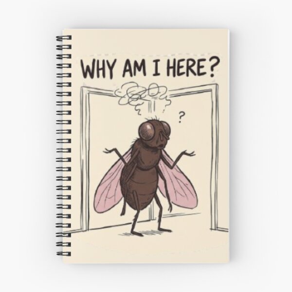 Item preview, Funny Forgetful Fly – Why Am I Here? Overthinking Humor designed and sold by InnerwayStudio.
