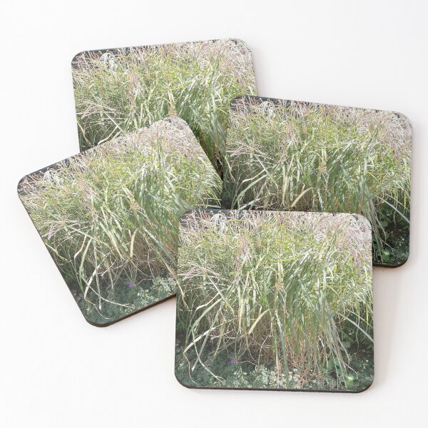 Item preview, Tall Ornamental Grass in Garden designed and sold by PhuongVoArt.