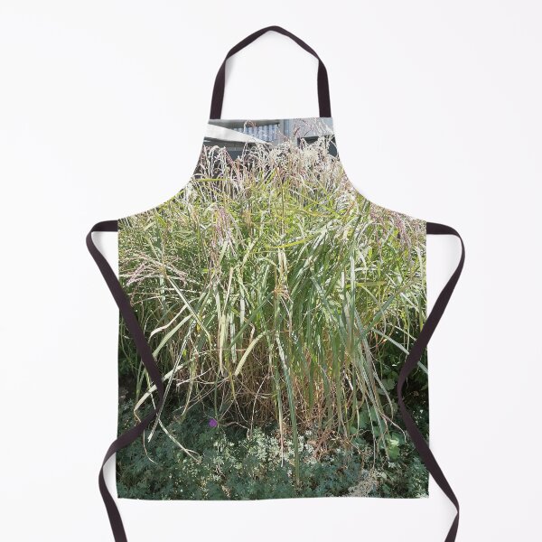 Item preview, Tall Ornamental Grass in Garden designed and sold by PhuongVoArt.