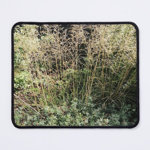 Item preview, Golden Wild Grass in Garden designed and sold by PhuongVoArt.