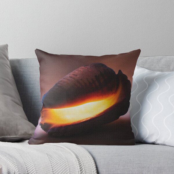 Item preview, Concha brillante designed and sold by AdrianJune.