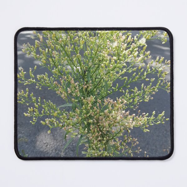 Item preview, Wild Green Plant with Tiny Flowers designed and sold by PhuongVoArt.