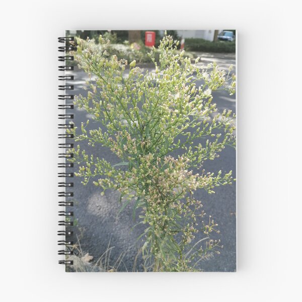 Item preview, Wild Green Plant with Tiny Flowers designed and sold by PhuongVoArt.