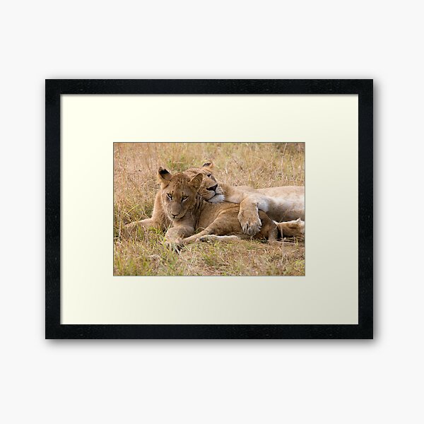 Item preview, Do I Look Like A Pillow ? designed and sold by Michael Moss Photography.