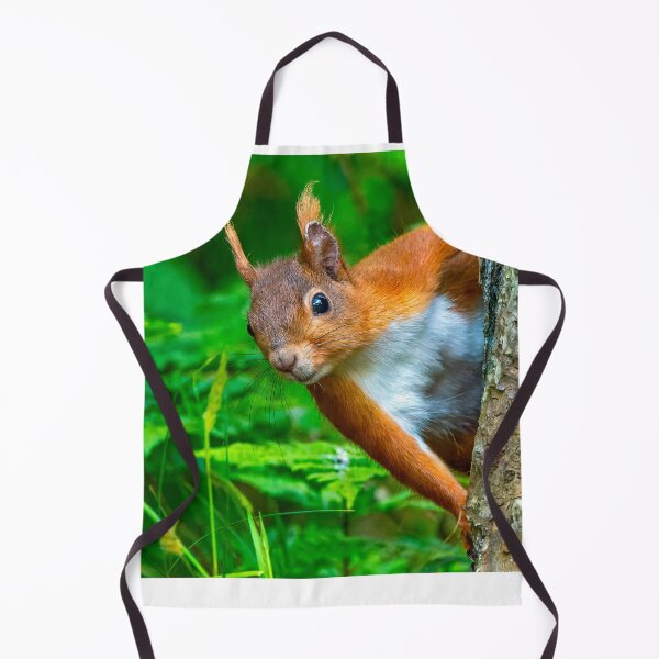 Item preview, Red Squirrel at Anglesea North Wales UK designed and sold by deeve0.