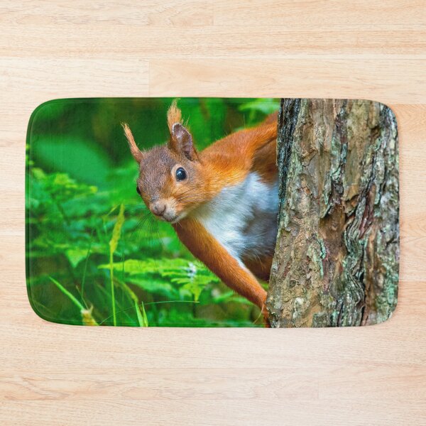 Item preview, Red Squirrel at Anglesea North Wales UK designed and sold by deeve0.