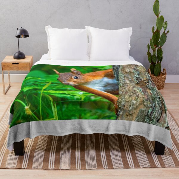 Item preview, Red Squirrel at Anglesea North Wales UK designed and sold by deeve0.
