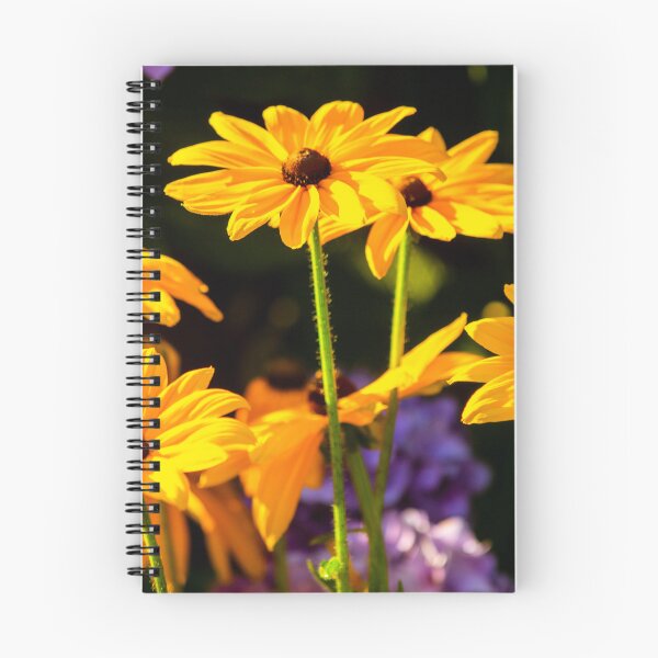 Artikelvorschau, Rudbeckia hirta entworfen und verkauft von AdrianJune.