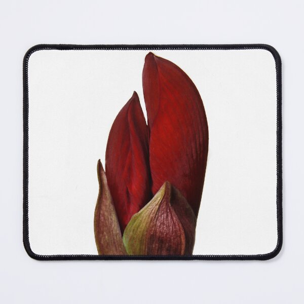 Item preview, Bud designed and sold by heatherfriedman.