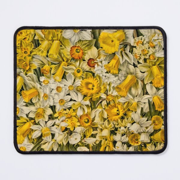 Item preview, Daffodil Bloom Cluster, Vintage Yellow designed and sold by Vintage-Lady65.