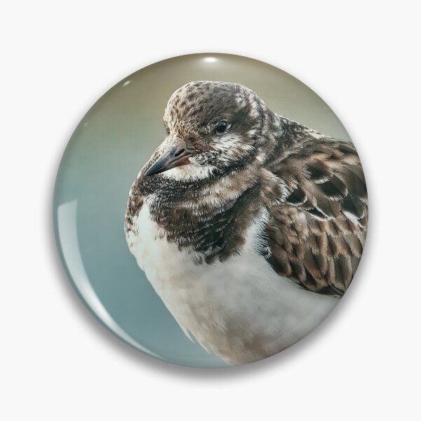 Item preview, Ruddy Turnstone designed and sold by Tom McPherson Photography.
