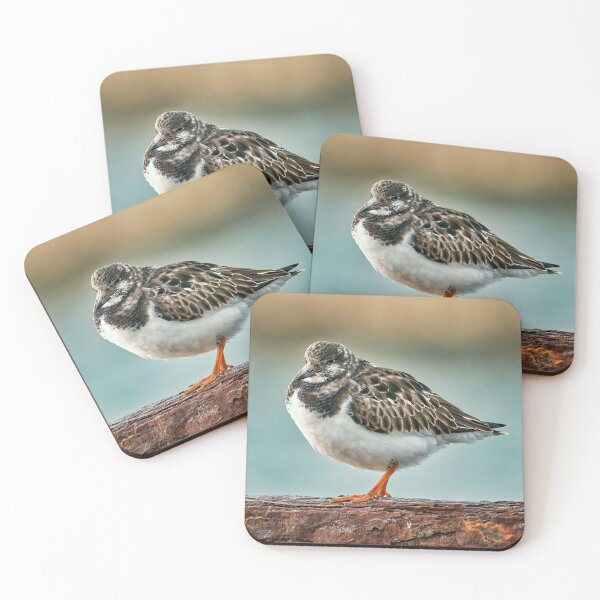 Item preview, Ruddy Turnstone designed and sold by Tom McPherson Photography.