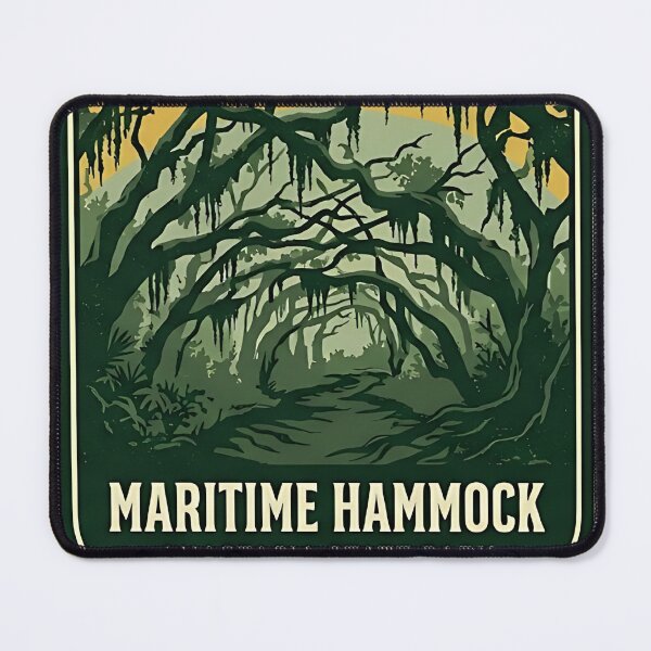 Item preview, Anastasia State Park Maritime Hammock Oak Canopy Sticker designed and sold by DetourDgn.