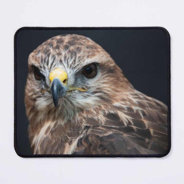 Item preview, Photo of a Common Buzzard (Buteo buteo). designed and sold by Vine Photographic.