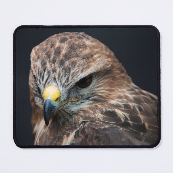 Item preview, Photo of a Common Buzzard (Buteo buteo). designed and sold by Vine Photographic.