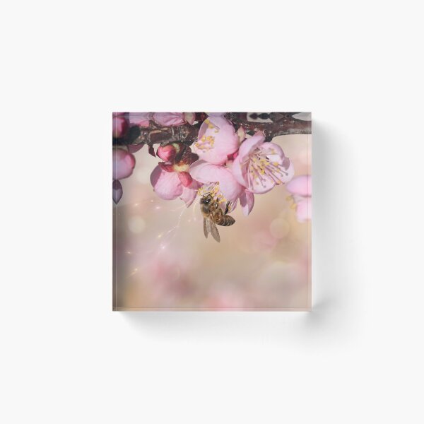 Item preview, Honeybee Among Glowing Pink Blossoms designed and sold by DansCreations42.
