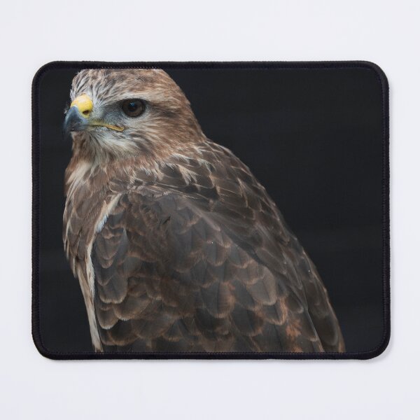 Item preview, Photo of a Common Buzzard (Buteo buteo). designed and sold by Vine Photographic.