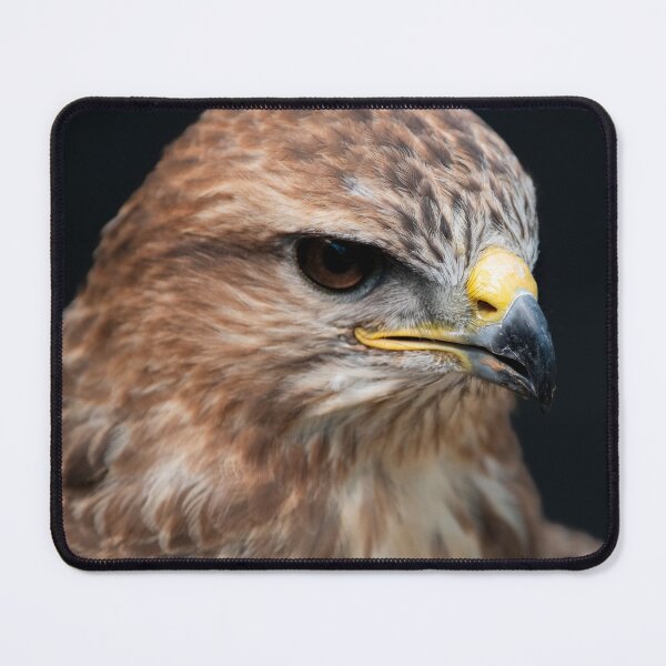 Item preview, Photo of a Common Buzzard (Buteo buteo). designed and sold by Vine Photographic.