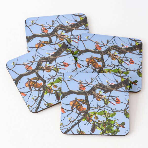 Item preview, Colorful Tropical Tree Branches Against Blue Sky designed and sold by ThaCriações.