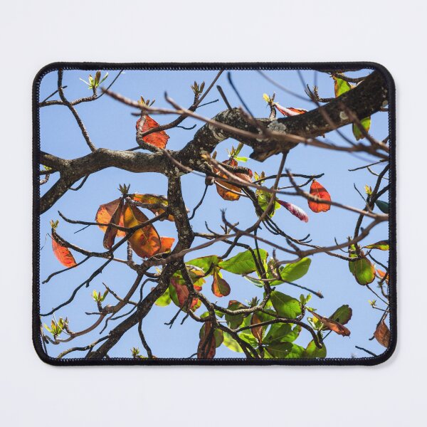 Item preview, Colorful Tropical Tree Branches Against Blue Sky designed and sold by ThaCriações.