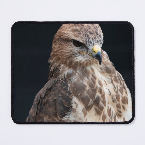 Item preview, Photo of a Common Buzzard (Buteo buteo). designed and sold by Vine Photographic.