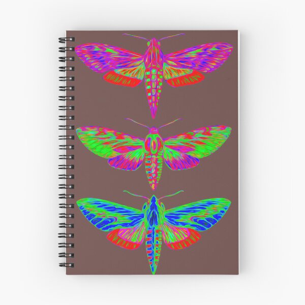 Item preview, Specimen 006 — Psychedelic Sphinx Moths — Sphingidae sp. designed and sold by DelamuraArt.