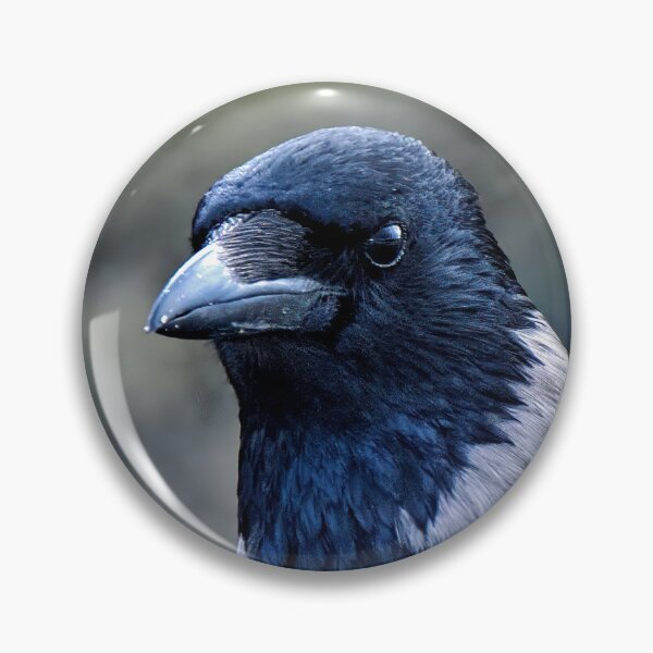 Item preview, Hooded Crow designed and sold by Tom McPherson Photography.