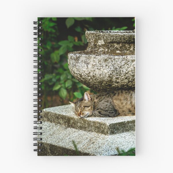 Item preview, Sleepy Tabby Cat on Stone Pedestal designed and sold by Rabee Khalil Photography.