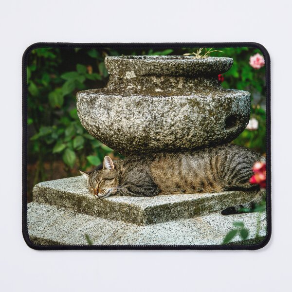 Item preview, Sleepy Tabby Cat on Stone Pedestal designed and sold by Rabee Khalil Photography.