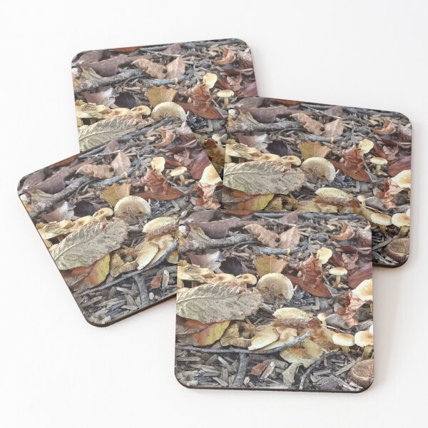 Item preview, Mushrooms of the woods discovered during a walk in nature. designed and sold by Thalia88.