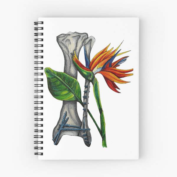 Item preview, tibia and birds of paradise designed and sold by JJPA-C.