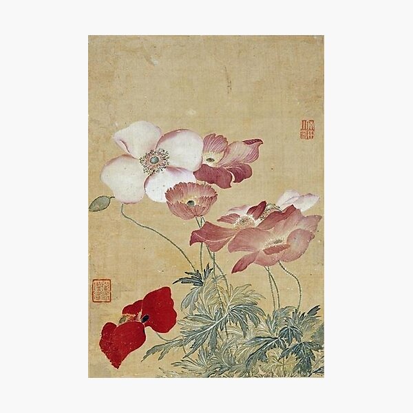 Item preview, Yun Shouping (恽寿平) - Poppies designed and sold by RBEnt.