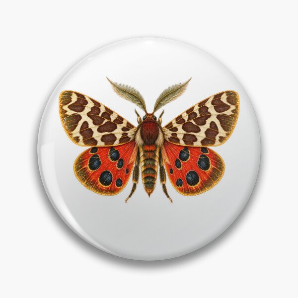 Item preview, Garden Tiger Moth | Vintage Entomology Specimen Art | Moth Collector Gift designed and sold by Brackenlume Studio.