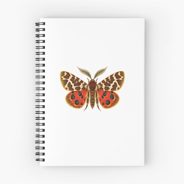 Item preview, Garden Tiger Moth | Vintage Entomology Specimen Art | Moth Collector Gift designed and sold by Brackenlume Studio.