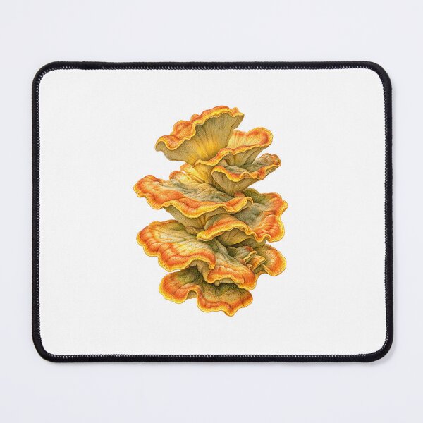 Item preview, Chicken of the Woods | Foraging Mushroom Kitchen Art | Gourmet Forager Gift designed and sold by Brackenlume Studio.