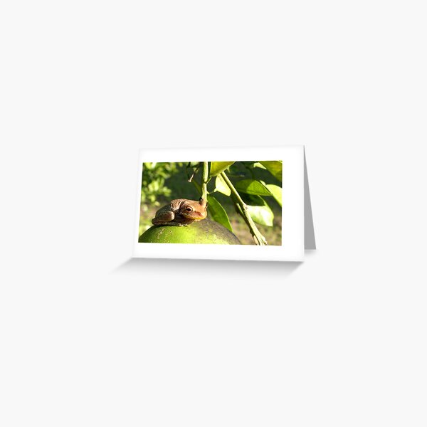 Nice to be in the sun Greeting Card