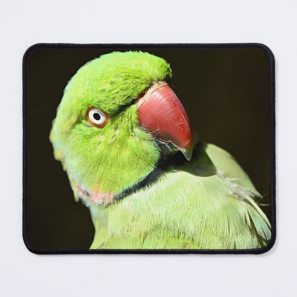 Item preview, Picasso designed and sold by Krameri Creations.