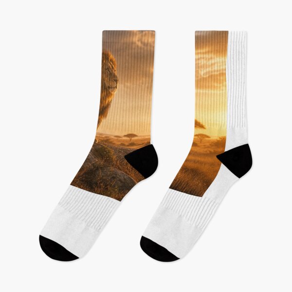 Item preview, Majestic Lion In African Savanna – Sunset Wildlife Landscape designed and sold by SVox.