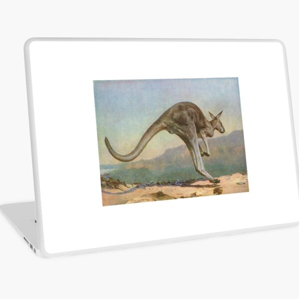 Item preview, Great Grey Kangaroo leaping circa 1900 designed and sold by artfromthepast.