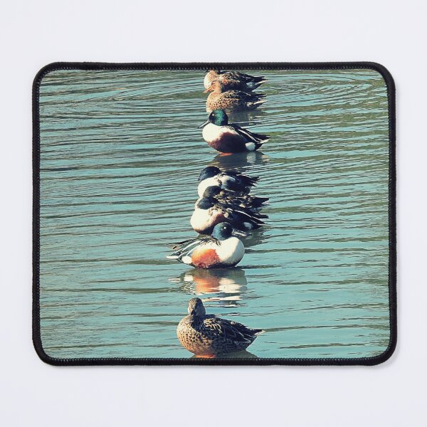 Item preview, Ducks in a row designed and sold by kcrystalfriend.