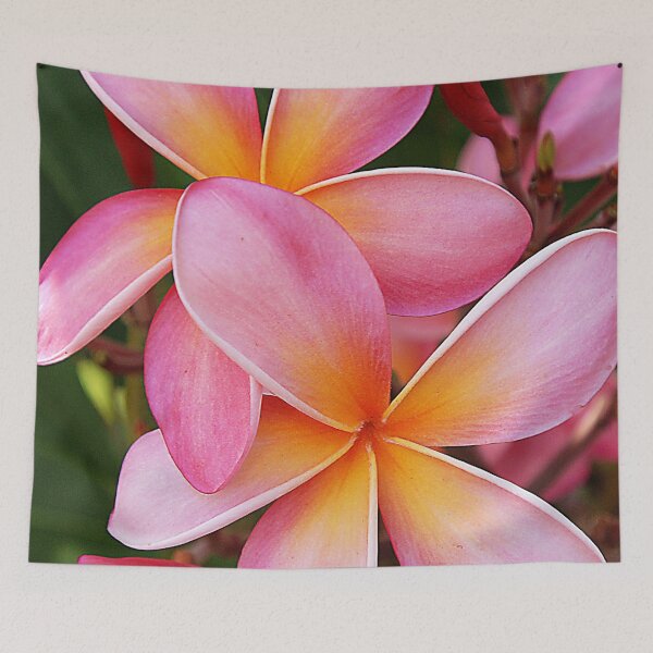 Item preview, Tropical Hawaiian Plumerias in Pink Art Photo designed and sold by DEC02.
