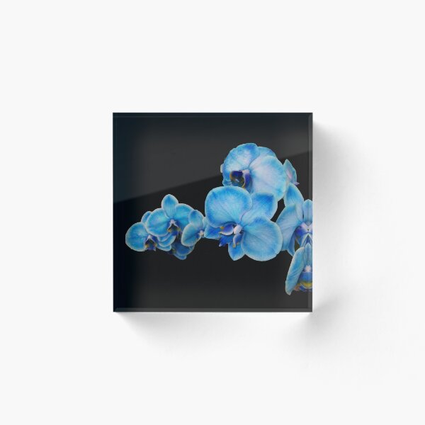 Item preview, My Blue Orchid designed and sold by Mary Ann Battle.