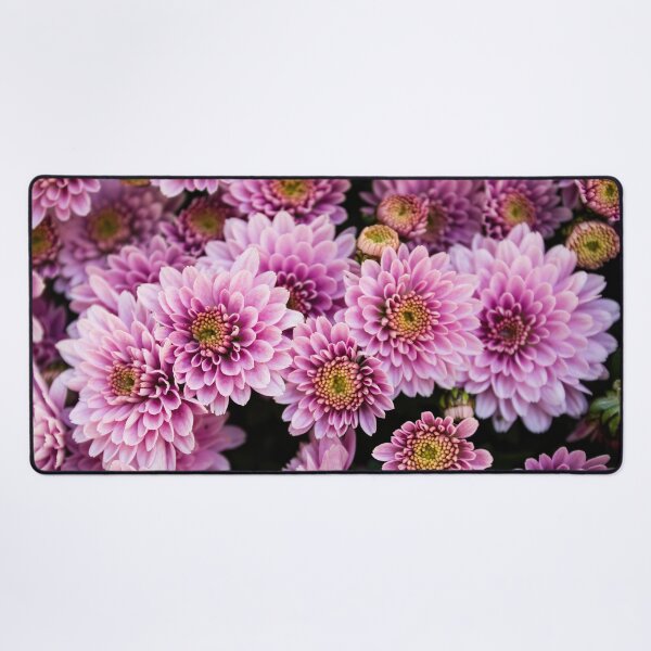 Item preview, Pink Chrysanthemum pic1 designed and sold by nastiaart.