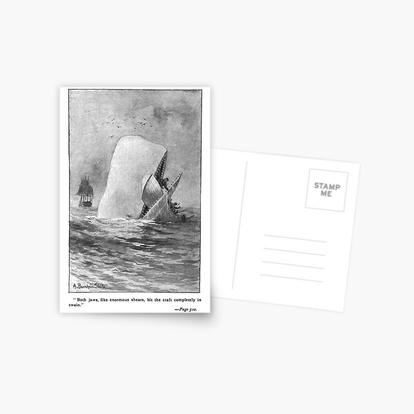 Moby Dick Herman Melville Original Illustration Postcard