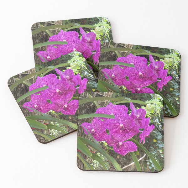 Item preview, Hot Pink in the Dominican Republic designed and sold by Mary Ann Battle.