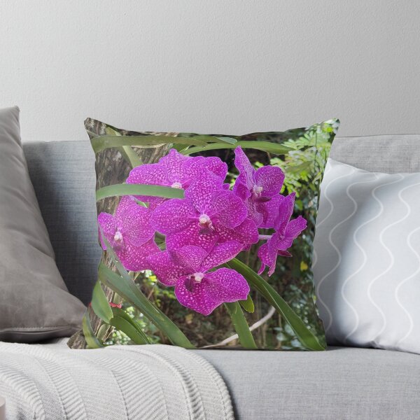 Item preview, Hot Pink in the Dominican Republic designed and sold by Mary Ann Battle.